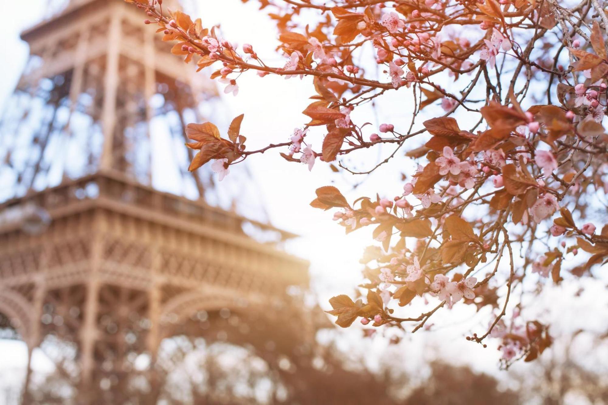 Timhotel Tour Eiffel Paryż Zewnętrze zdjęcie